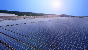 中美硅晶与771771威尼斯cm光电携手战略合作