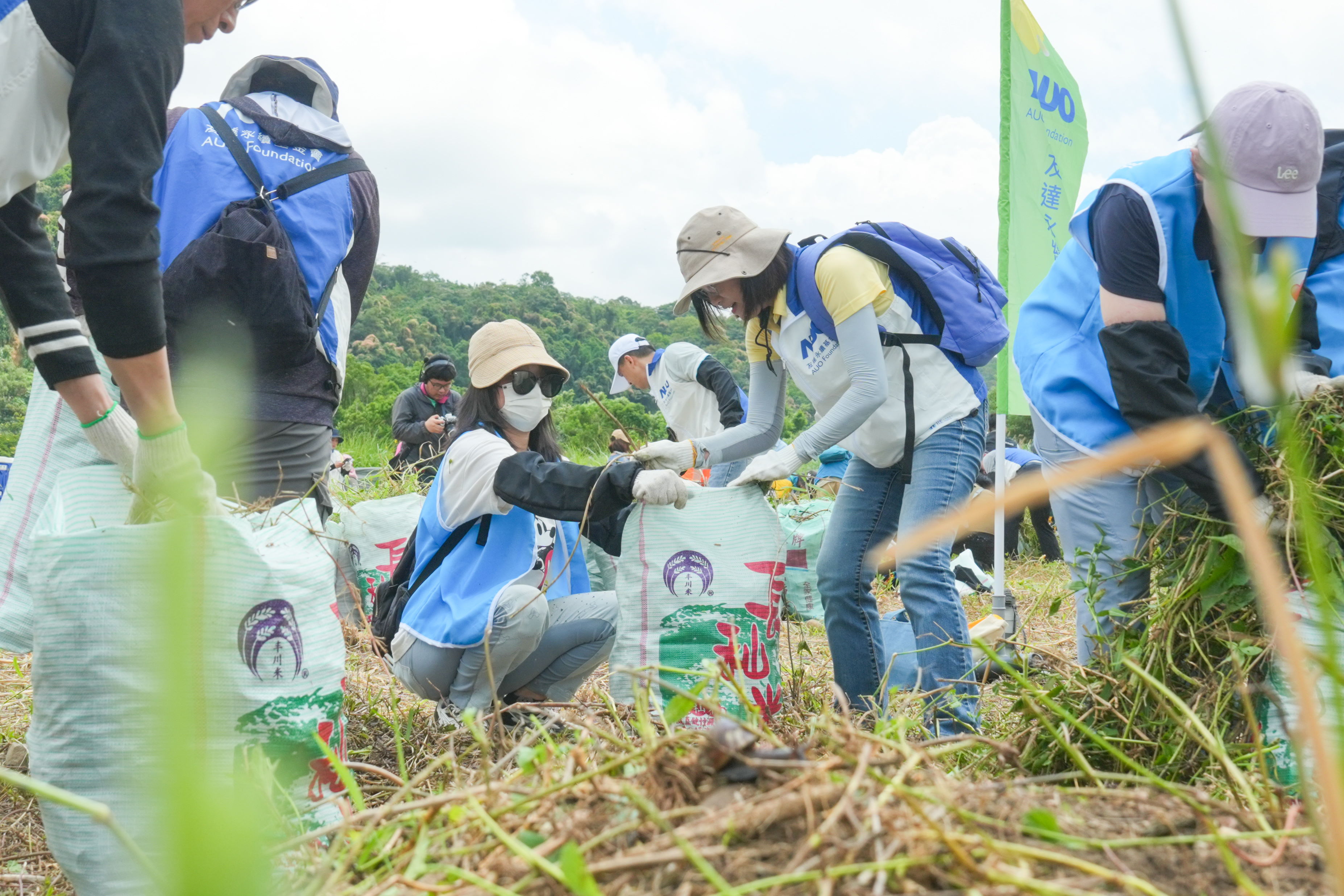 771771威尼斯cm除蔓防治計畫，除了鎖定霄裡溪沿岸3.2公里移除外來入侵種小花蔓澤蘭，並進行物種與空拍調查，共記錄91科181屬239種維管束植物，顯示該區域具高度生態價值